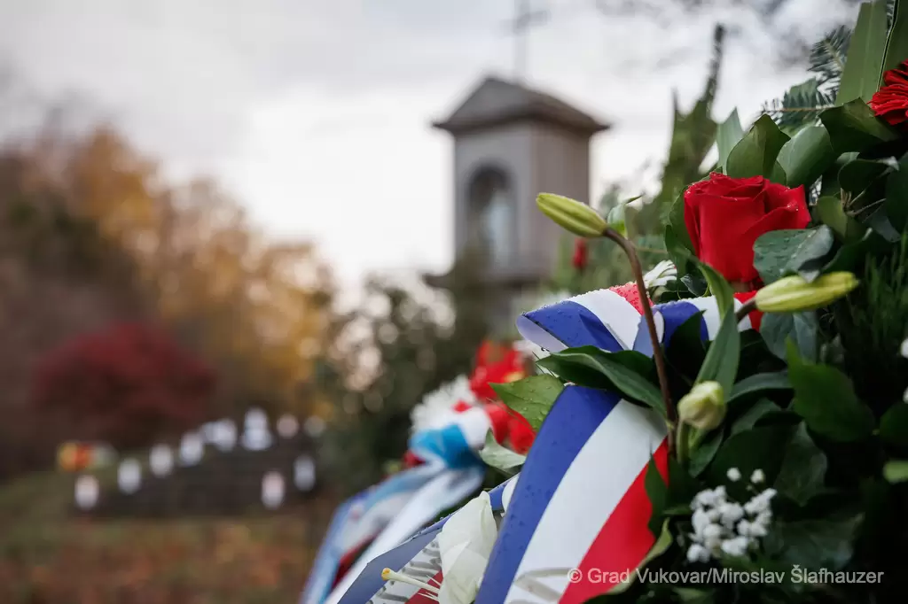 585538378 1456723336090909 1732780967981213408 n